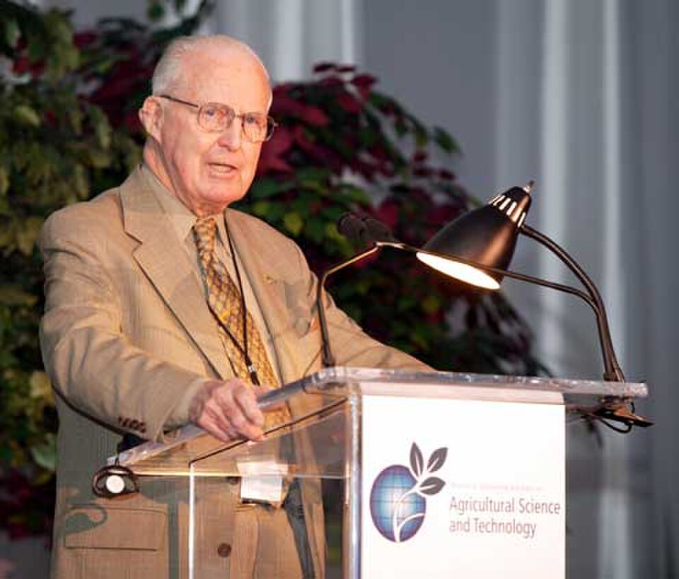 Norman Borlaug, whose semi-dwarf wheat varieties, adapted and tested in India from 1963, underpinned the Green Revolution.